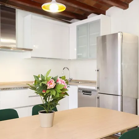 Cozy Spacious With Terrace With Parking Apartment